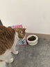 素力高（SolidGold）进口高蛋白鲜肉三文鱼含鱼油美毛减少掉毛成猫粮3磅/1.36kg 实拍图