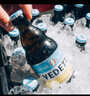 白熊（VEDETT）白熊+玫瑰红+接骨木 精酿啤酒 礼盒装 330mlx6瓶+杯（款式随机） 实拍图