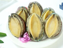 江船长冷冻鲍鱼 带壳去内脏去黑膜 净重230g 6粒装 火锅食材海鲜  实拍图