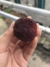 秒时鲜【顺丰】浙江仙居东魁杨梅皇特大果礼盒当季杨梅新鲜水果仙居杨梅 复购高|大果12A100颗礼盒 实拍图