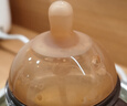世喜（thyseed）奶嘴 大宝宝仿母乳断奶（7-10个月）婴儿硅胶奶嘴 实拍图