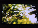 KTC 27英寸4K 160Hz/FHD 320Hz双模Type-c 90w Switch2外接 国家补贴400nit显示屏电脑显示器 H27P6 实拍图