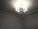 佐灯奴新中式吊灯中国风客厅灯卧室餐厅灯复式楼古典中式灯具广东中山 8头+LED灯泡 实拍图