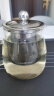 金灶（KAMJOVE）泡茶壶飘逸杯 耐热玻璃茶具功夫办公室花茶壶 茶水分离杯茶壶家用 A-02 500ml 实拍图