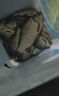 民间艺人夜光漂电池425型号夜钓电子漂动力源小电池316鱼漂钓鱼配件 CR425电池1粒 实拍图