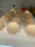 黄天鹅鸡蛋可生食鸡蛋30枚鸡蛋单枚53g新鲜鸡蛋PLUS定制礼盒装 实拍图
