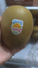 佳沛（zespri）新西兰  阳光金奇异果18粒超大果原箱单果重约173-204g 猕猴桃 实拍图