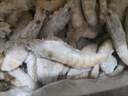 东上御品虾 青岛大虾基围虾鲜活青虾白虾海虾对虾冰虾冻虾生鲜 虾类 海鲜 3斤(净重)  气冻大虾【活虾速冻】 11-12cm【单只无冰衣】 实拍图