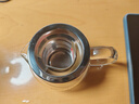 金灶（KAMJOVE）玻璃泡茶壶飘逸杯 茶道杯茶水分离杯 迷你玻璃茶壶过滤内胆茶具 AM-713/150毫升 实拍图