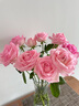【玫瑰花】特价云南鲜花直发节日鲜花礼物花束水养插花七夕礼物 随机玫瑰10枝 实拍图