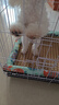 贝初众狗笼小中大型犬狗笼子猫笼带厕所加粗折叠宠物笼子柯基笼幼犬狗笼 白色加粗狗笼62*43*53【15斤内】 白色带厕所托盘 清洁方便 无毛边无倒刺不卡脚 实拍图