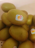 佳沛（zespri）新西兰 阳光金奇异果12粒礼盒特大果单果约122-146g 猕猴桃 水果 实拍图