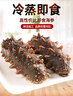 参王朝 大连直发冷冻冷蒸即食海参辽刺参海鲜水产礼盒 500g 10-12头 7A级 实拍图