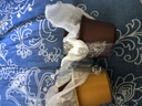 古悦堂 宜兴紫砂家用品茗杯喝茶小杯配套紫砂杯主人杯 小福杯 朱泥 实拍图