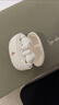 漫步者（EDIFIER）声迈X5 Pro 入耳式主动降噪蓝牙耳机 无线耳机 适用苹果华为小米OPPO手机 润白 实拍图