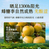 四叔公果蔬贵州蜂糖李【JD顺丰冷链-多地次日达】马六脆李脱骨李子水果礼盒 【金奖】特级大果（单果40-50g) 3斤装（实惠尝鲜）划算 净2.5斤 实拍图