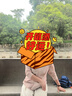浪莎米色裙裤女春夏季高腰显瘦半身a字长裙休闲直筒慵懒阔腿裤 实拍图