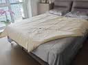 出口6A级100%桑蚕丝被黄金丝真丝提花被芯春秋被夏凉被冬被子定制 【6A级黄金桑蚕丝-可定制规格】 200*230cm【四斤-夏季款】 实拍图