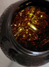 澳佳宝无腥鱼油软胶囊 1000mgOmega3含DHA EPA 成年人rTG型400粒/瓶 实拍图