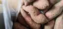 鲜级佳 正宗临安天目山小香薯红薯板栗薯现挖新鲜蔬菜地瓜 净重2斤中果 50-150g 实拍图