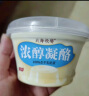 北海牧场北海牧场浓醇凝酪 130g*4杯 风味发酵乳 低温酸奶酸牛奶 实拍图