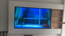 海信电视小墨E5Q Pro 75英寸超画质U+Mini LED 信芯芯片 墨晶屏300Hz 75E5Q-PRO E5NPRO+升级国家补贴 实拍图