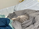 泊啤汇全球精酿组合黄啤白啤黑啤果啤组合装 进口酒组合升级款 500mL 24罐 晒单实拍图