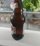 燕京啤酒 U8小度酒500ml*12瓶  新老包装交替发 父亲节送礼 现货热卖 实拍图