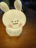 卡通小夜灯房间可爱少女心氛围灯生日礼物送女孩子儿童发光小玩具 腮红兔/大号 配3颗电池 实拍图