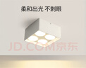 雷士（NVC）LED精品筒灯方形吸顶明装斗胆灯超薄格栅灯四头40瓦高显白杯暖白 实拍图