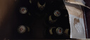 范佳乐（原教士啤酒）德国小麦黑啤酒450ml×12瓶整箱装  实拍图