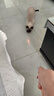 光多拉逗猫激光笔猫咪玩具可充电USB逗猫棒红外线激光笔神器宠物用品 实拍图