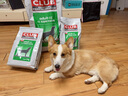 皇家皇家狗粮 成犬狗粮 犬粮 通用犬型 CC 通用粮 ≥12月 3KG 实拍图