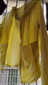 蕉下（beneunder）防晒衣女凉感修身AL11924短款辣妹防晒服女外套轻鹅黄XL 实拍图