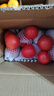 【超市精选】山东沙瓤水果西红柿新鲜番茄蔬菜减肥单果100g起 西红柿中大果 4斤 带箱 实拍图