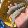 禧美海产  国产大虾 无冰净重400g/盒 22-27只 白虾 对虾 烧烤 海鲜水产  实拍图