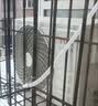 同城专业空调移机安装维修加氟上门服务中央空调拆装加雪种风管机单拆内机移位天花机安装外机拆机服务上门 空调安装服务 实拍图