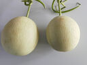 京鲜生 山东玉菇甜瓜 2粒 净重4.5-5.5斤装 单果2斤起 源头直发包邮 晒单实拍图