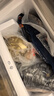 头厨黑猪鲜肉老面小笼包 200g*6袋共48个纯手工嵊州包子 早餐速食 实拍图