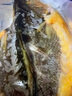 三都港 宁德三去开肚大黄鱼800g/2条净重 清蒸黄花鱼 生鲜 烧烤 实拍图