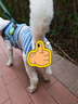 aipetofstory大狗狗绝育服 宠物中大型犬绝育手术服透气断奶夏季术后衣服L  实拍图