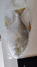 翔泰 海南大规格金鲳鱼550g1条 海鱼 生鲜鱼类 火锅 海鲜水产 实拍图