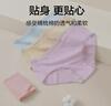 京东京造4条装女士内裤女纯棉桑蚕丝抑菌底裆少女三角内裤女中腰 XL 实拍图