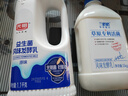 光明原味酸奶酸牛奶 1100g*1 益生菌风味发酵乳 实拍图
