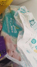 帮宝适超薄透气清新帮透氧Pro婴儿纸尿裤尿不湿尿片尿布XXL32 实拍图