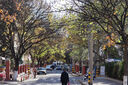 京东京造7A级抗菌浴巾 290g加大加厚强吸水速干柔软成人大浴巾 粉色 实拍图