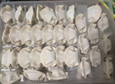 湾仔码头韭菜猪肉水饺1320g66只早餐食品速食半成品面点生鲜速冻饺子 实拍图