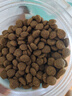 愛肯拿（ACANA）狗粮 海洋盛宴 成犬幼犬 靓毛鱼肉全价犬粮原装进口2kg 效期26/2 实拍图