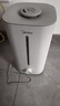 美的（Midea）巨雾空气加湿器空气净化器家用卧室杀菌净化孕妇婴儿桌面小型喷雾器国家补贴空调伴侣女生礼物40S 实拍图