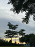 格力（GREE）【巨风量】落地扇远吹风电风扇台式电扇易拆洗广角摇头节能定时轻音风扇落地扇 FD-4010-WG 实拍图